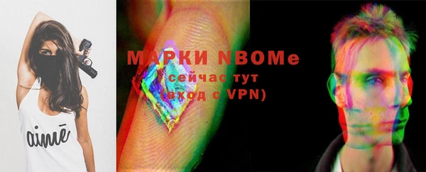 apvp Алзамай